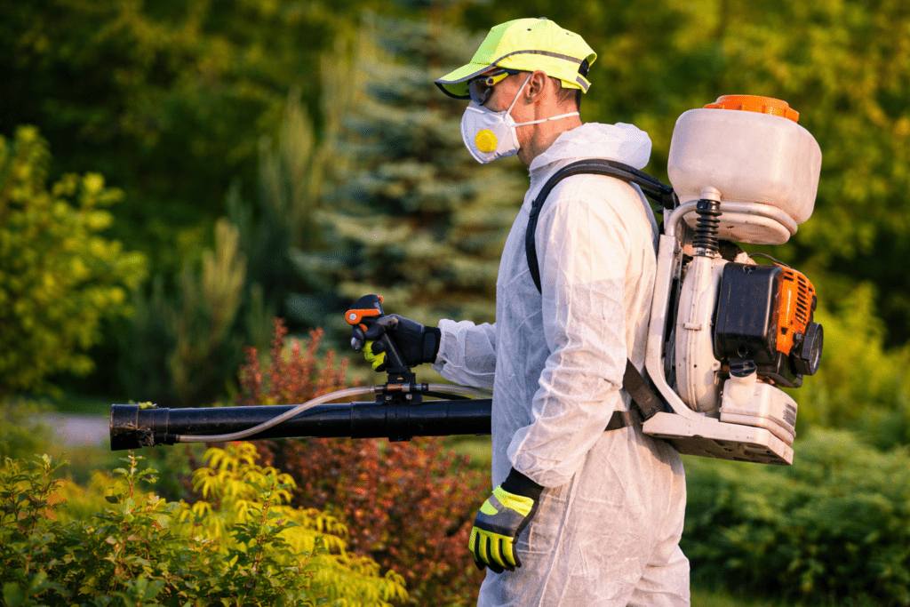 Pond Weed Control NYC