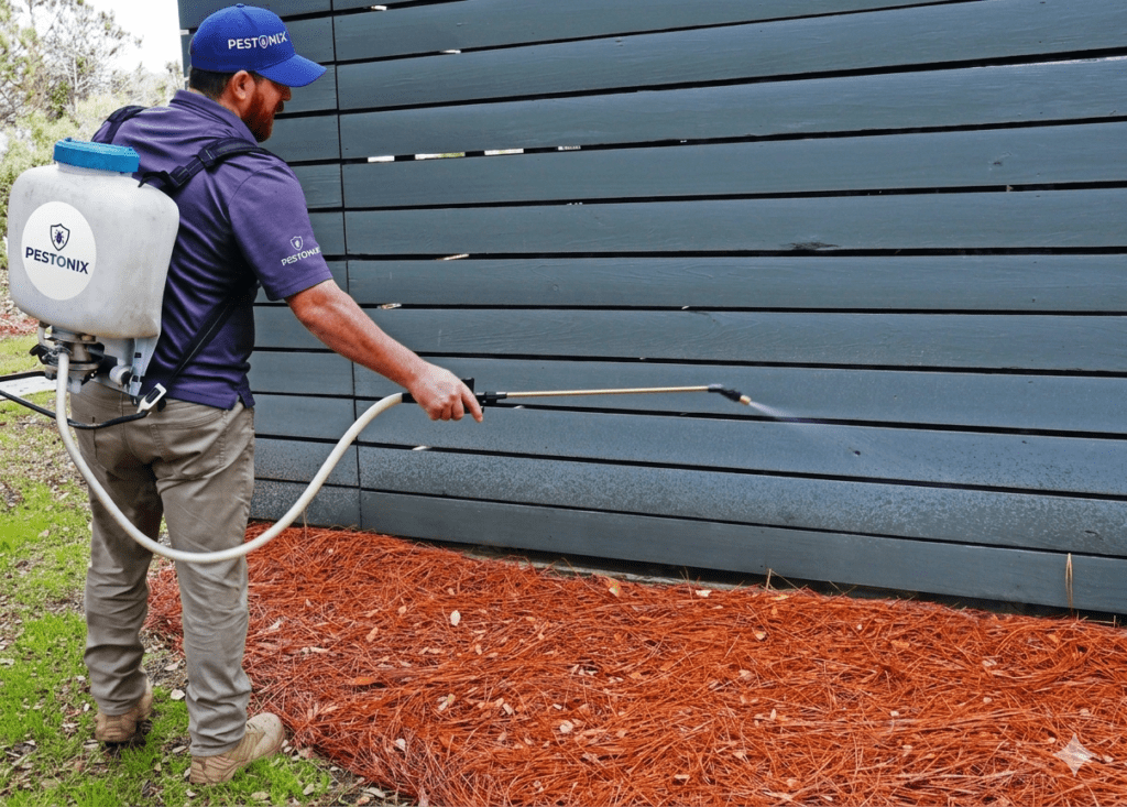 Ant Control Services