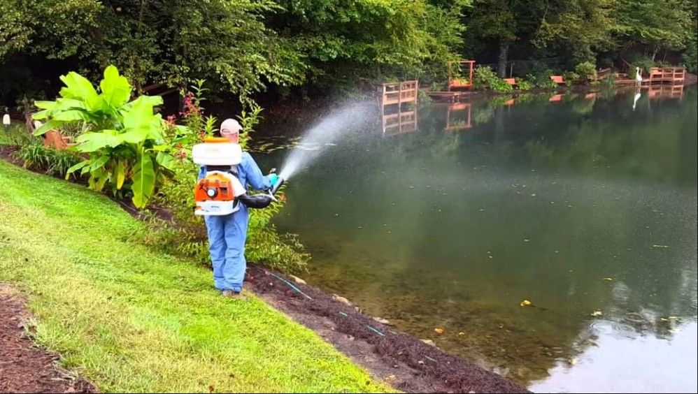 Pond Weed Control NYC