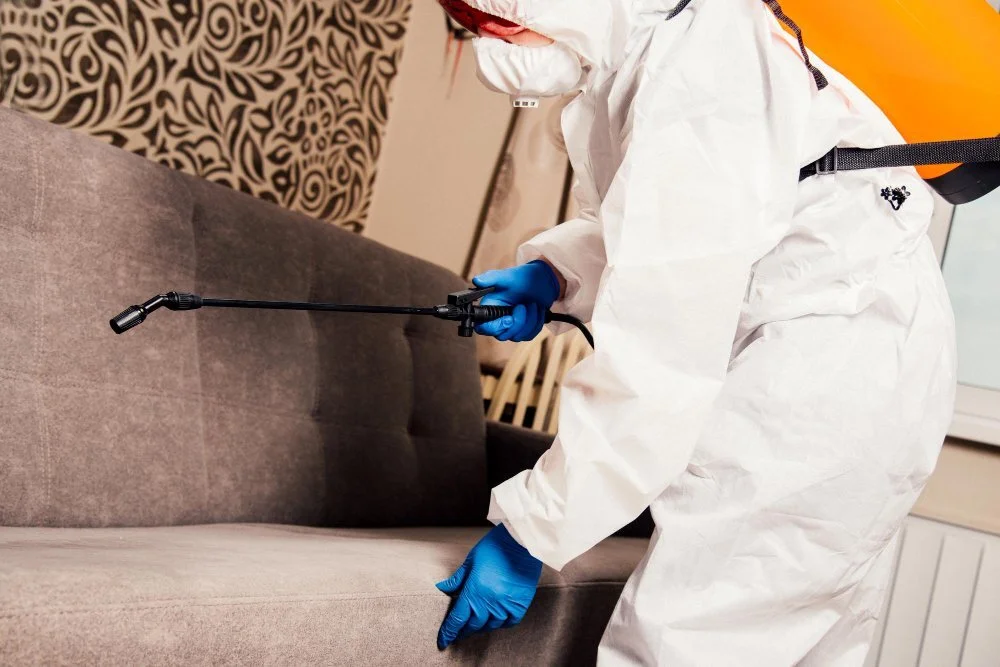 Does an Exterminator Get Rid of Bed Bugs?