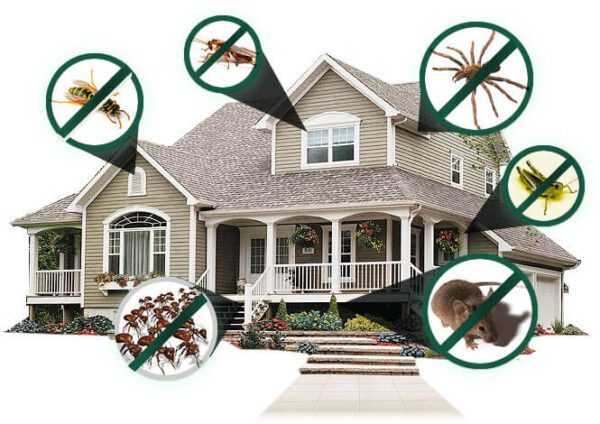 What Is Residential Pest Control? A Complete Guide