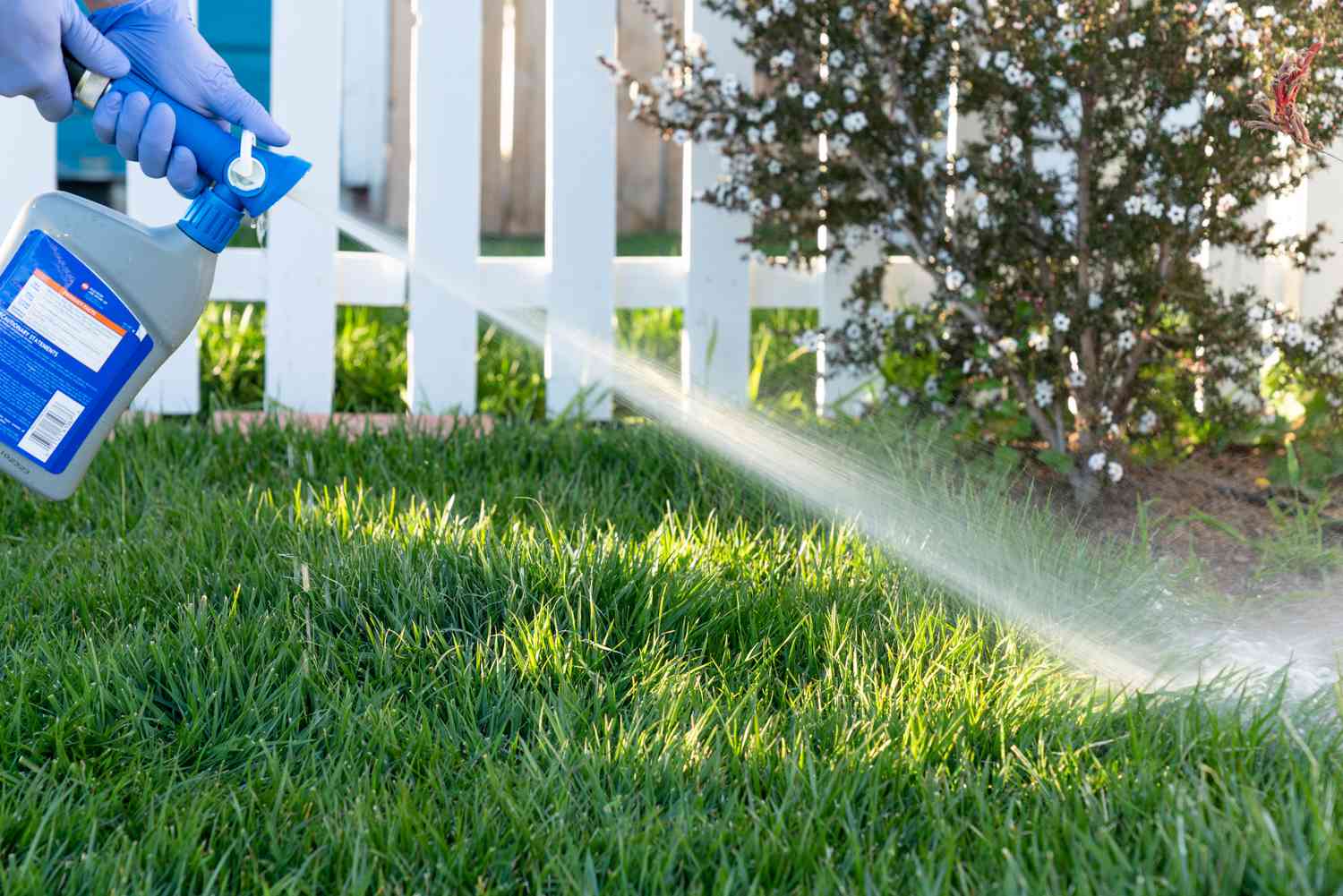 How to Control Ticks in My Yard: Guide for New York and Long Island Homeowners