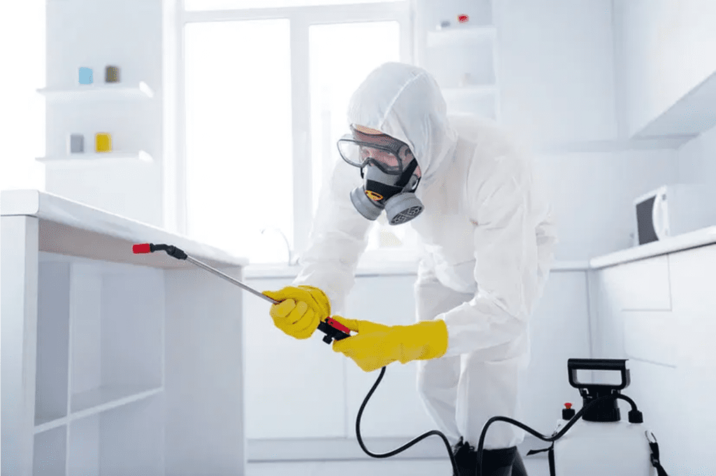 Pest Control in Bronx