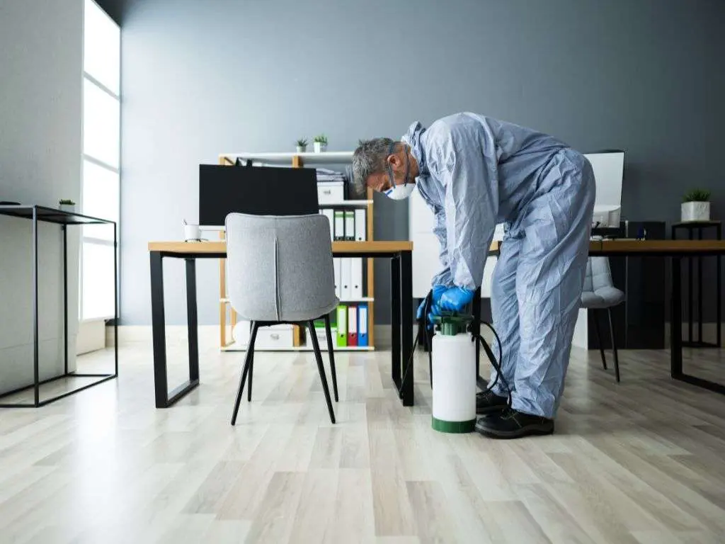 pest control Manhattan NY