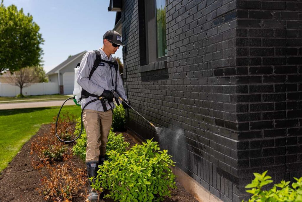 common pests in New York homes