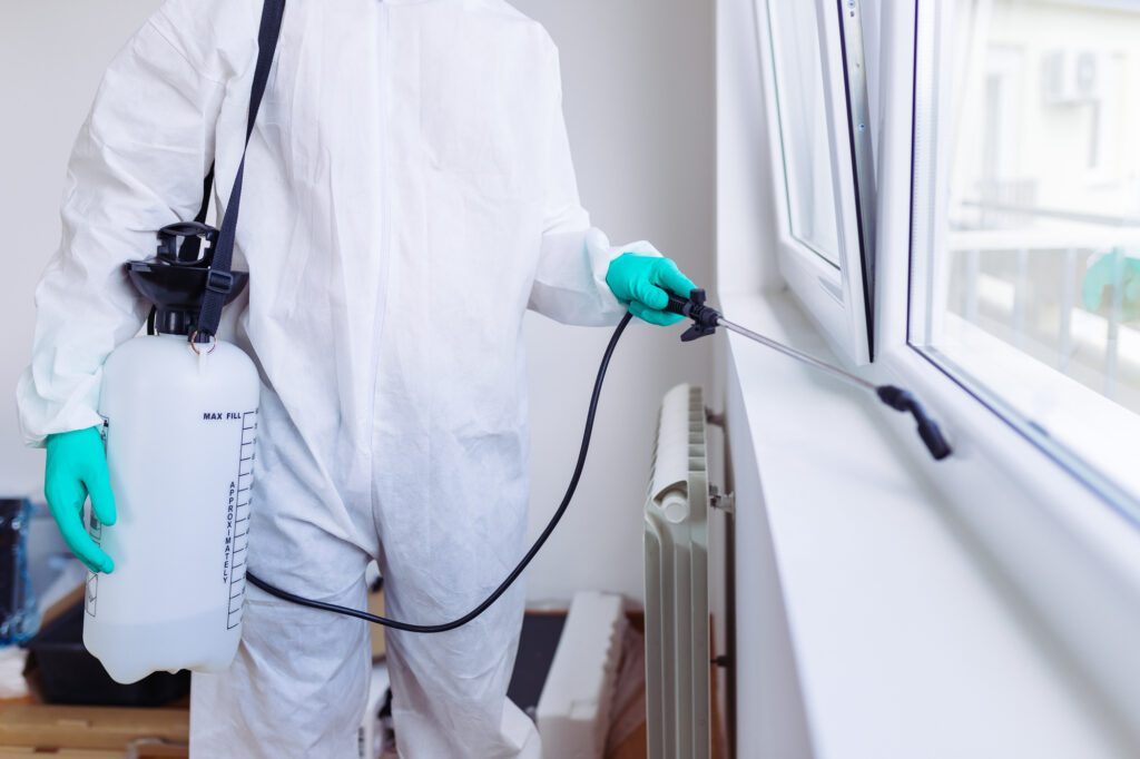 Professional Pest Control in Long Island New York