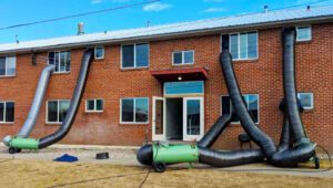 Heat Treatment vs Chemical for Bed Bugs