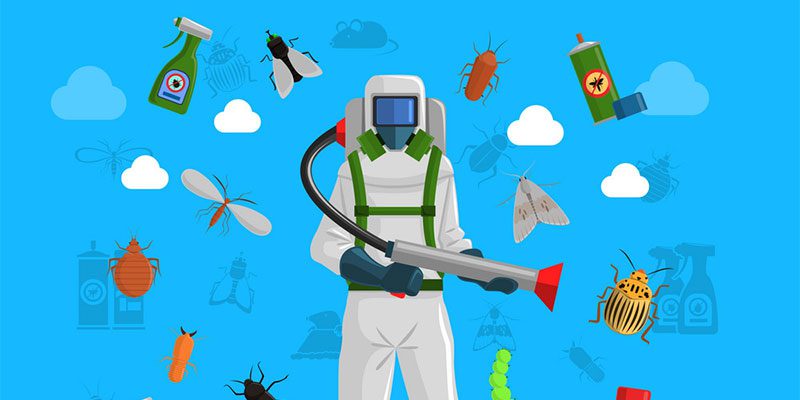 Exterminator vs Pest Control: What’s the Difference?