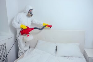 How Long After Pest Control Can I Go Inside?