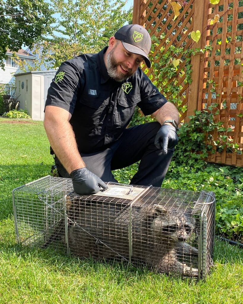 Humane Wildlife Removal Service Specifications