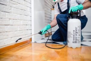 How Long Does Pest Control Last? NYC Guide