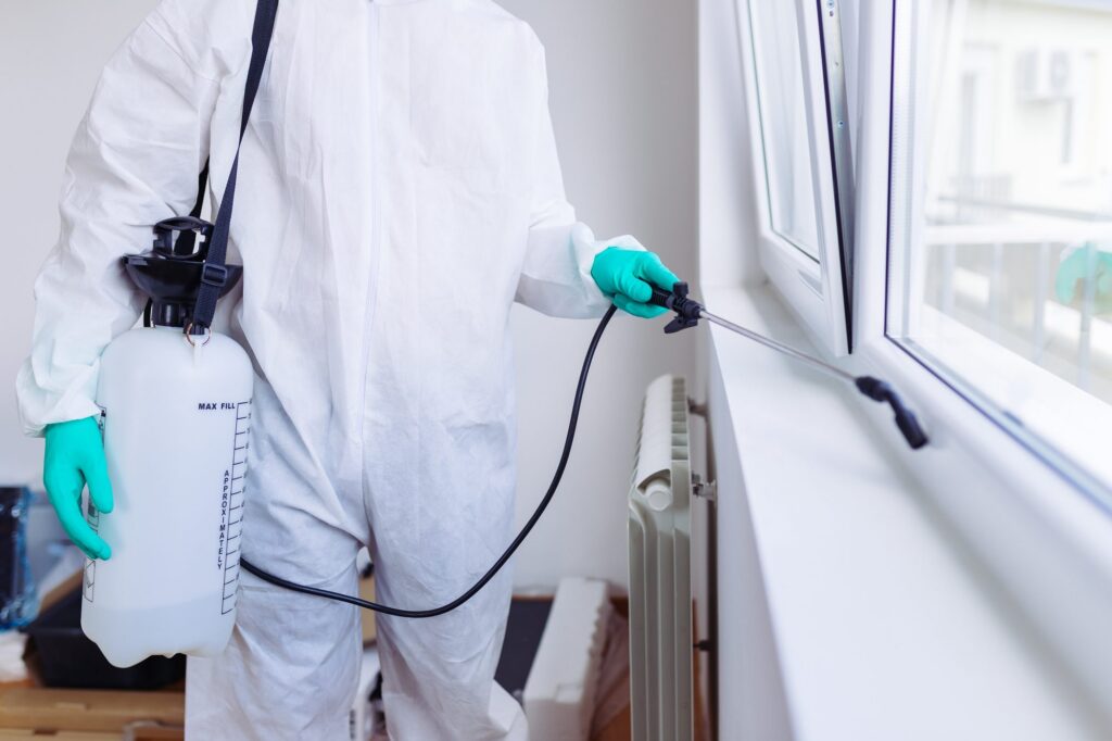 Pest Control in Suffolk County