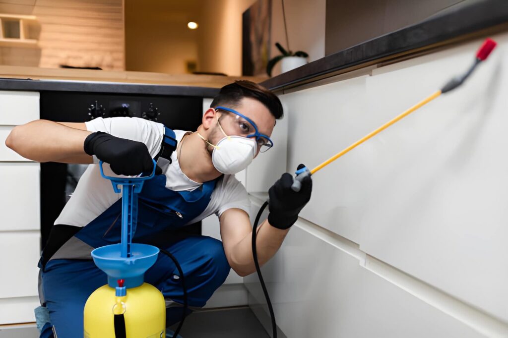 best-pest-control-companies-in-nyc