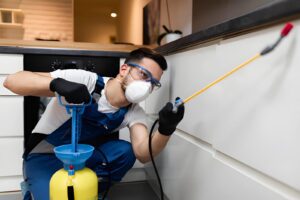 best-pest-control-companies-in-nyc