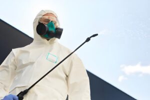 best-pest-control-companies-in-nyc