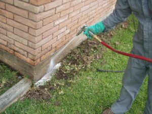 termite-treatment-cost-nyc