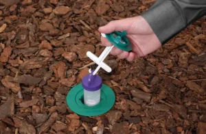 DIY Termite